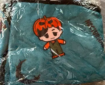 니시키도 료 담요