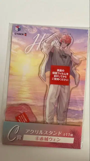 니지산지 아카기 웬 바닷가 아크릴 스탠드