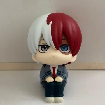 히로아카 토도로키 쇼토