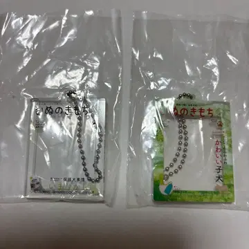 새상품 강아지 누구든지 아크릴 참 가챠 2종