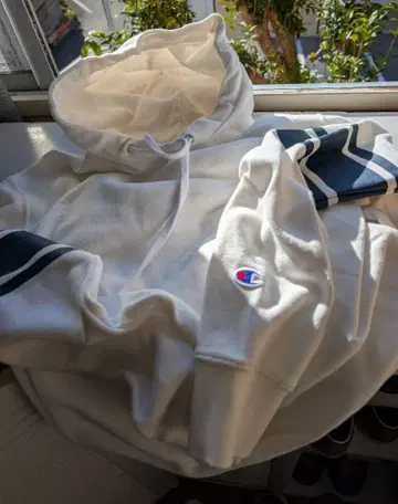 에디페스 별주 챔피온 후드티