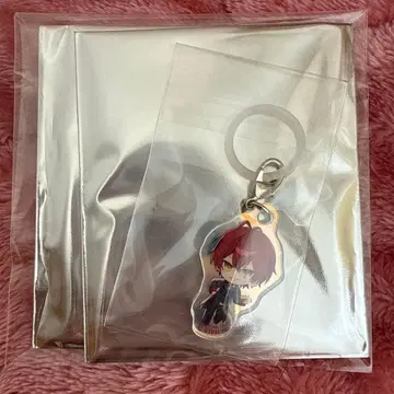 기사X KnightX 바우군 오로라 참 AGF2025