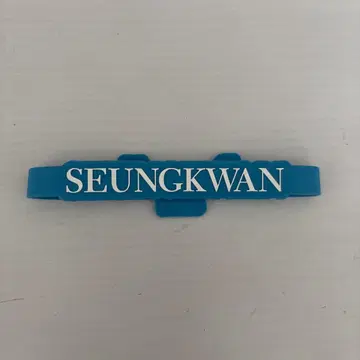 승관 BE THE SUN 데코 반지