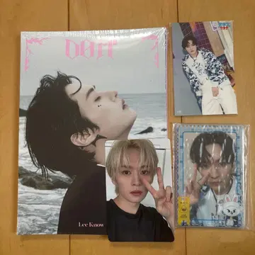 Stray Kids Do It 아코디언 리노 Lee Know