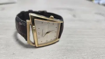 해밀턴 플라이트 2 최저가 20시까지 판매