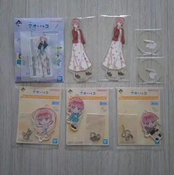 푸른상자 제일복권 초노 히나