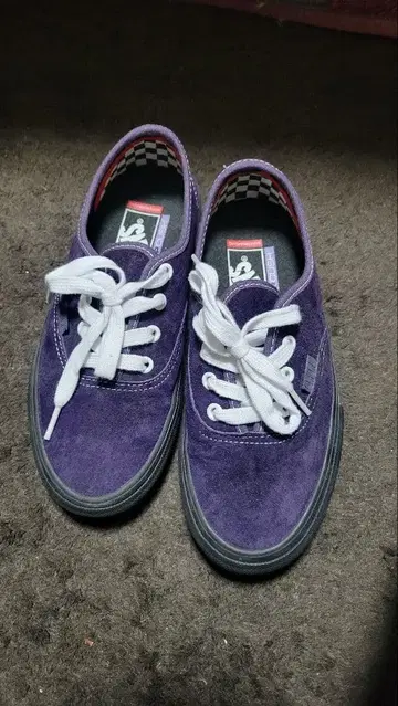 VANS(반스) SKATE AUTHENTIC PURPLE 23cm