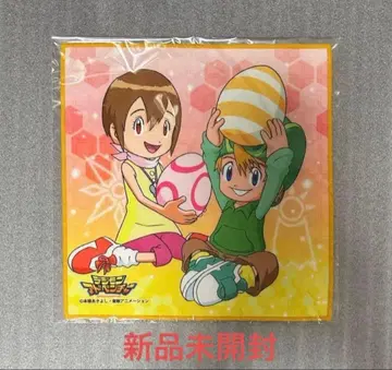 디지몬 어드벤처 극세사 미니 타월 타케루 & 이슬이(히카리)