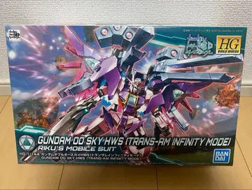 HGBD 건담 더블오 스카이 HWS (트랜잠 인피니티 모드)