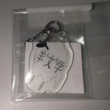 양문학 FC 한정판 스크래치 B상 키링