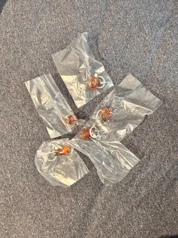 극장판 체인소 맨 레제 편 포치타 연결 반지 참 세트 전 5종 컴프 세트