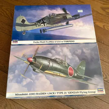 1 Focke-Wulf Fw190A-5/U14 wRAIDEN 세트