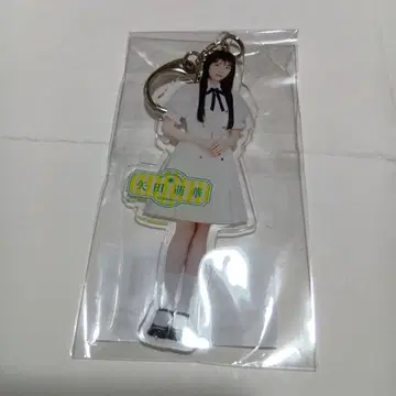 노기자카46 야타 모에카 Same Number 개별 전신 아크릴 키링