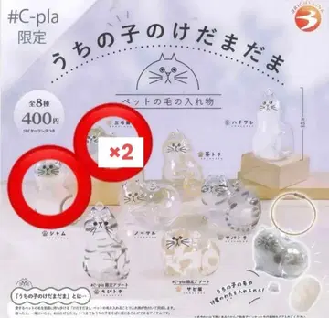 우리 아이의 케다다마 정품 가챠 삼색 고양이 샤무 3개 세트