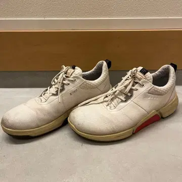 ECCO 화이트 골프화