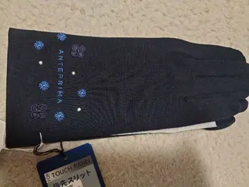 ANTEPRIMA 터치 패널 그로브 다크 블루