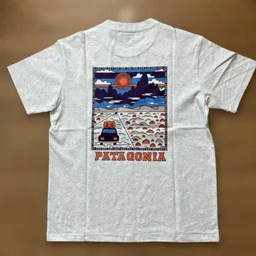 PATAGONIA 그레이 T셔츠 M 사이즈