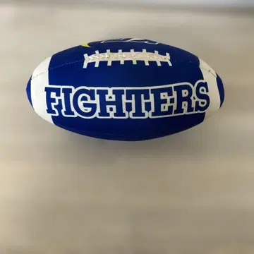 미식축구 간사이학원대학