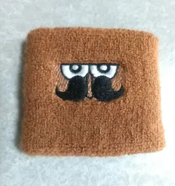 덴쟈러스 지-상 리스트 밴드