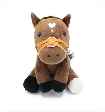 타스티에라 아이돌퀸 엘리자베스 M 사이즈