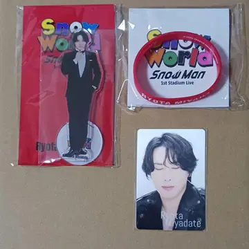 Snow Man 아크릴 스탠드 세트