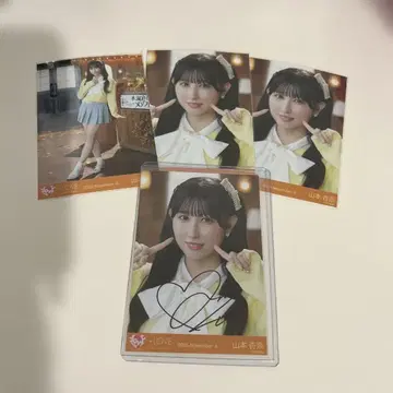 =LOVE 야마모토 안나 친필 사인