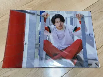 요코하마 류세이 클리어 파일 미개봉 새상품