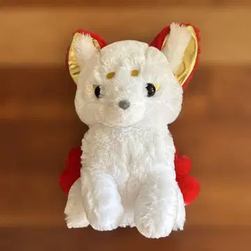 쵸콘토 여우 구미