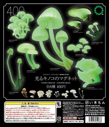 NTC MONO + 빛나는 버섯 마그넷 전 8종 세트