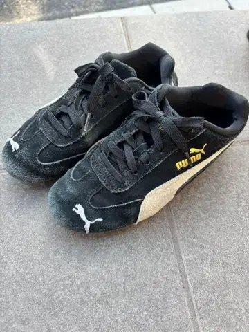 스피도캣 22 블랙