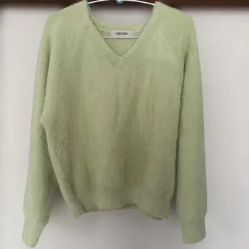 COCO DEAL 코코딜 샤기 V넥 니트 파스텔 그린