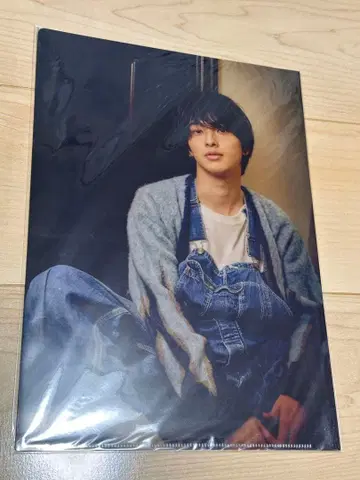 요코하마 류세이 클리어 파일 미개봉 새상품