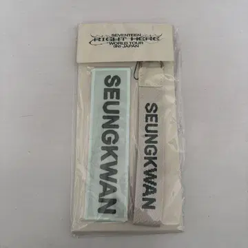 SEVENTEEN 세븐틴 RIGHT HERE 승관 와펜 스트랩