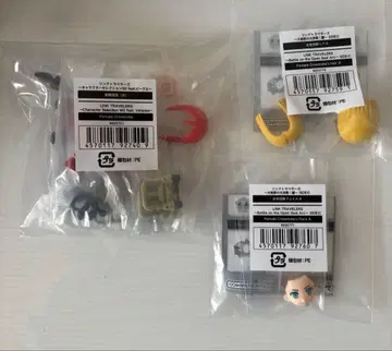 링크 트래블러스 해적단원 (여자), 페이스, 헤어