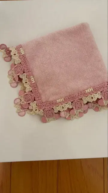 치카자와 레이스 디즈니 미니