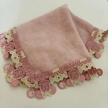 치카자와 레이스 디즈니 미니