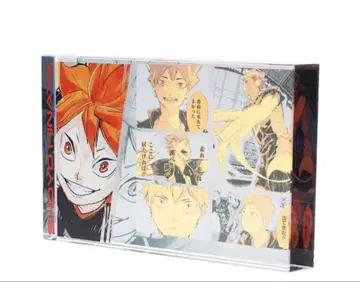 하이큐 생일 아크릴 블록 히나타 쇼요 2024