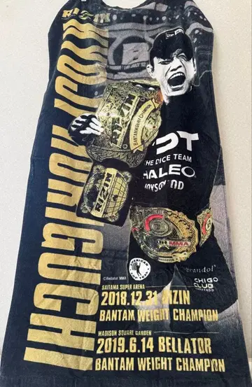 호리구치 쿄지 빅 타월 미개봉