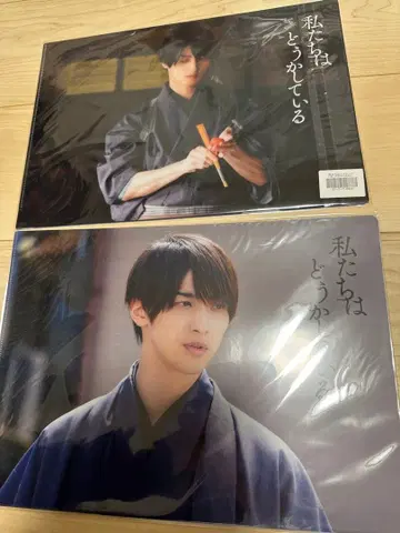 요코하마 류세이 우리는 어떻게 되어버렸는가 클리어 파일 새상품