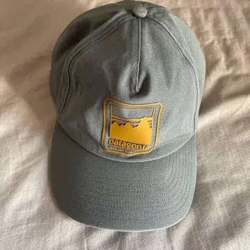 patagonia 그레이 캡