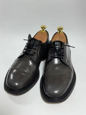 church's 샤논 그레이 65F