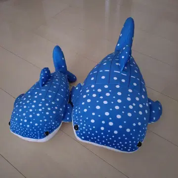 추라우미 수족관 징베 봉제 인형 2체 세트