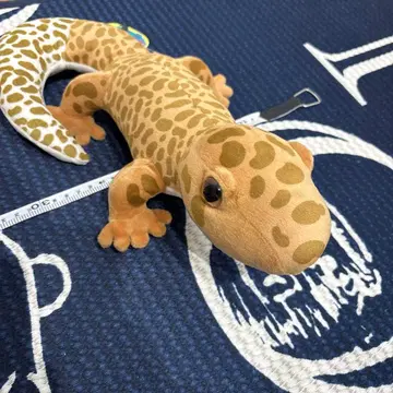 레오파드 도마뱀 봉제 인형 약 30cm 도마뱀