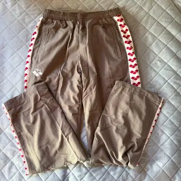 아레나 저지 재팬