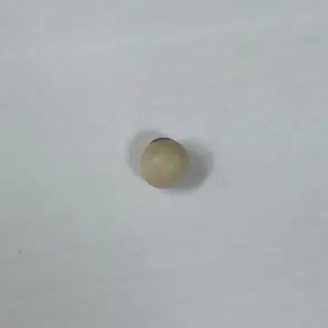 초등학생 시절에 1인당 1알씩 나눠준 대두