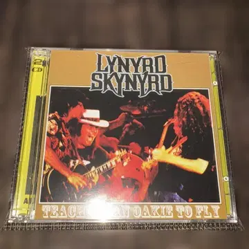 Lynyrd Skynyrd Teach Your Children 미사용