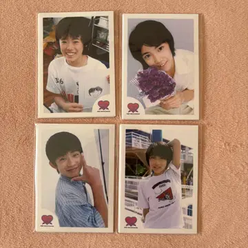 포유 미니 사진