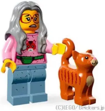 정품 LEGO 레고 레고 무비 미니 피규어 미세스 스크래치 엽서