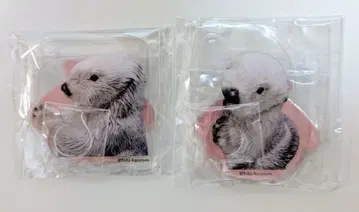 캡 복권 x 토바 수족관 랏코의 메이짱 복권 아크릴 스탠드 아크릴 스탠드