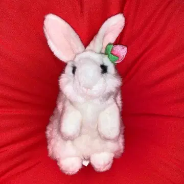 AURORA 오로라 월드 봉제 인형 토끼 토끼 스탠딩 딸기 레어
